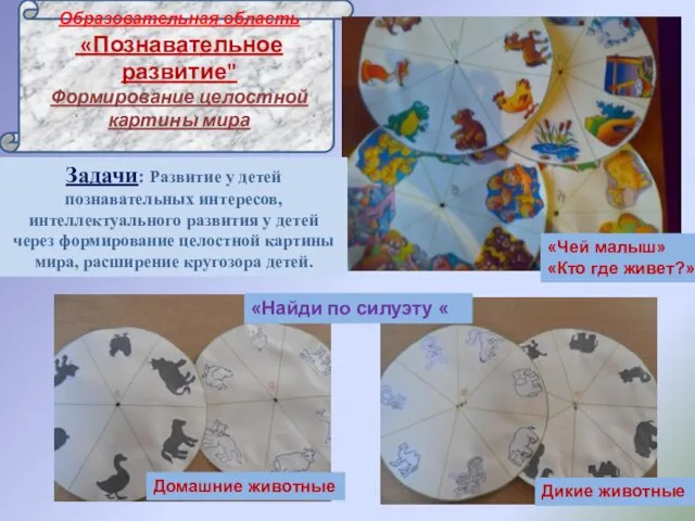 Образовательная область «Познавательное развитие" Формирование целостной картины мира «Чей малыш» «Кто