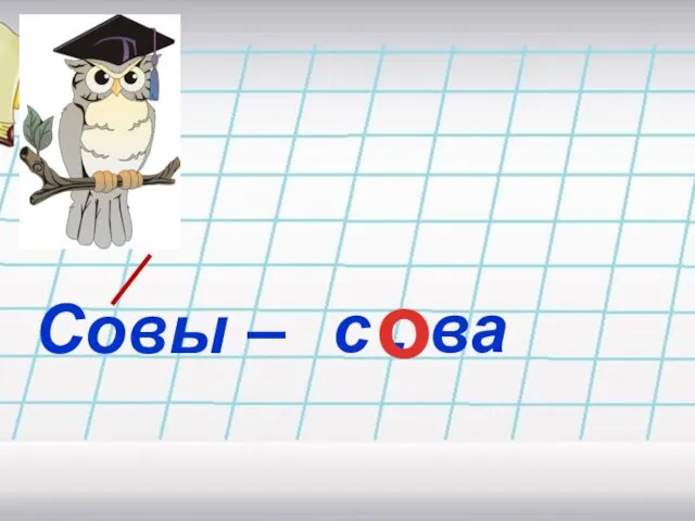 Совы – с . ва о