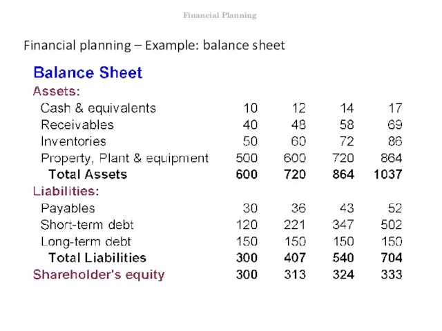 Financial planning – Example: balance sheet Financial Planning