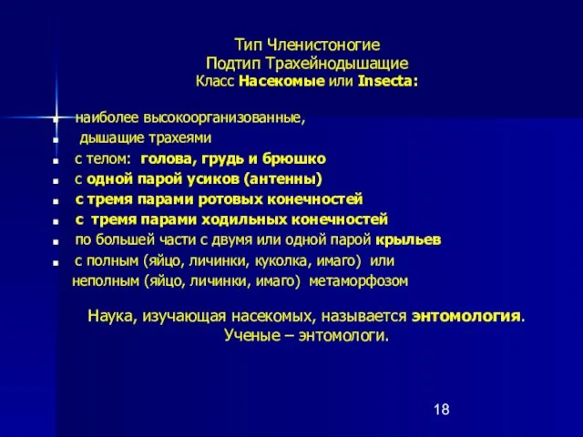 Тип Членистоногие Подтип Трахейнодышащие Класс Насекомые или Insecta: наиболее высокоорганизованные, дышащие