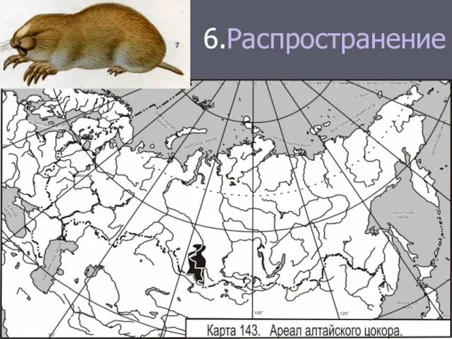 6.Распространение