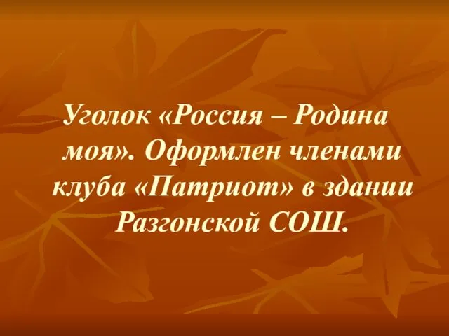 Уголок «Россия – Родина моя». Оформлен членами клуба «Патриот» в здании Разгонской СОШ.