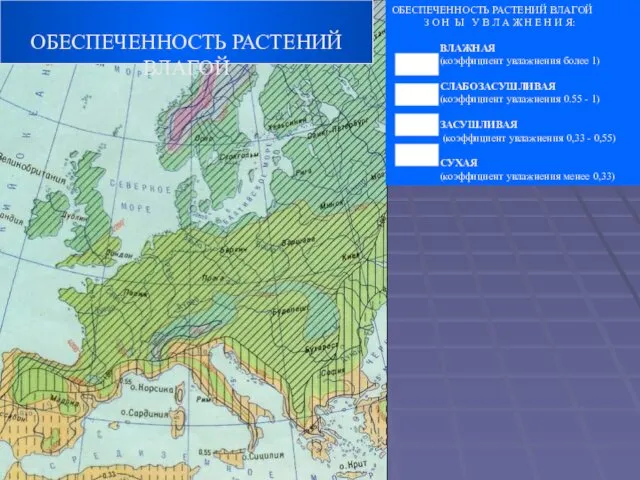 ОБЕСПЕЧЕННОСТЬ РАСТЕНИЙ ВЛАГОЙ З О Н Ы У В Л А