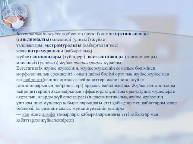 Вегетативтік жүйке жүйесінің шеткі бөлімін: преганглионды (ганглионалды) миелинді (үлпекті) жүйке талшықтары,