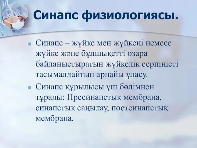 Синапс физиологиясы. Синапс – жүйке мен жүйкені немесе жүйке және бұлшықетті