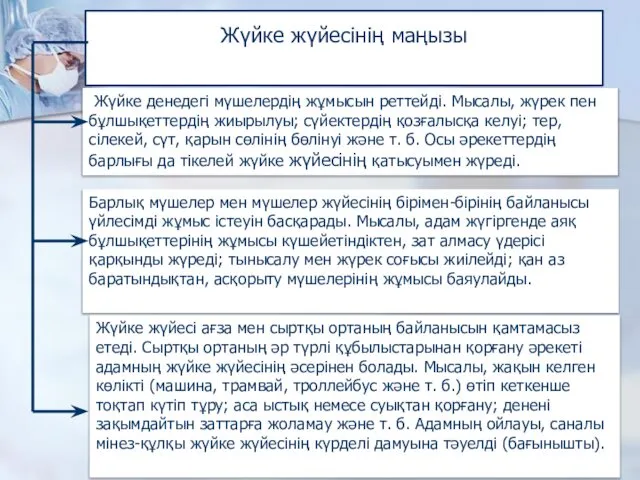 Жүйке жүйесінің маңызы Жүйке денедегі мүшелердің жұмысын реттейді. Мысалы, жүрек пен