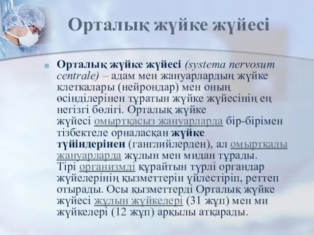 Орталық жүйке жүйесі Орталық жүйке жүйесі (systema nervosum centrale) – адам