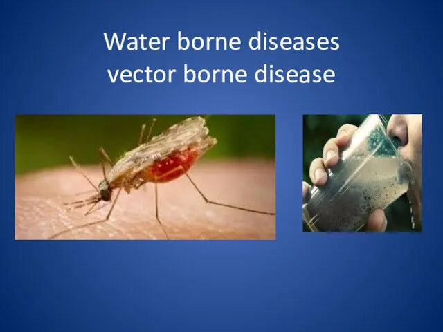 Water borne diseases vector borne disease