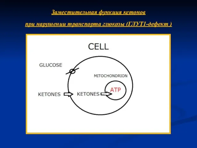 Заместительная функция кетонов при нарушении транспорта глюкозы (ГЛУТ1-дефект )