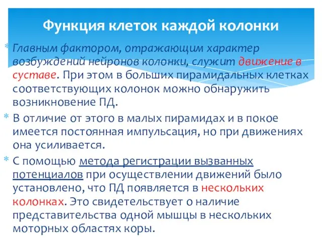 Главным фактором, отражающим характер возбуждений нейронов колонки, служит движение в суставе.