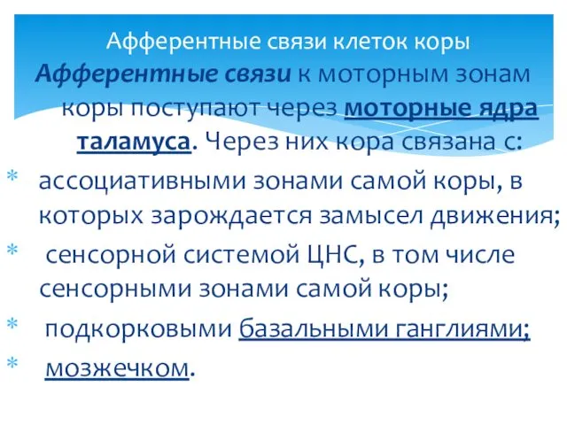 Афферентные связи к моторным зонам коры поступают через моторные ядра таламуса.