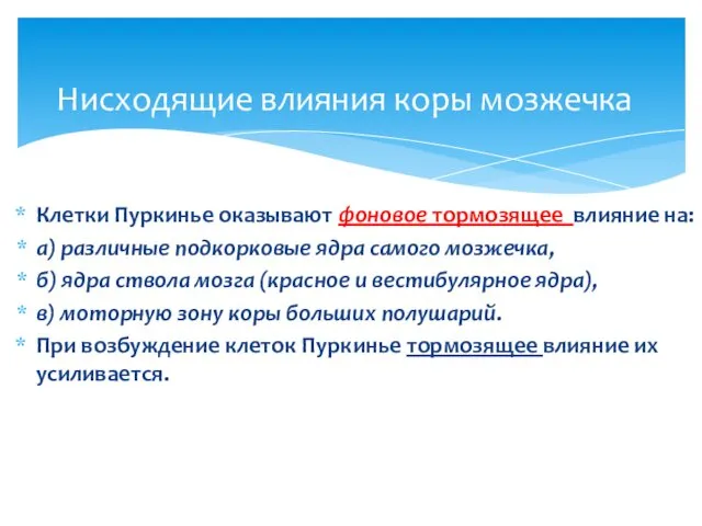 Нисходящие влияния коры мозжечка Клетки Пуркинье оказывают фоновое тормозящее влияние на: