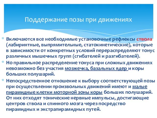 Включаются все необходимые установочные рефлексы ствола (лабиринтные, выпрямительные, статокинетические), которые в