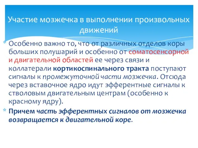 Особенно важно то, что от различных отделов коры больших полушарий и