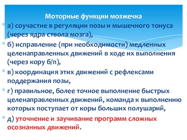 а) соучастие в регуляции позы и мышечного тонуса (через ядра ствола