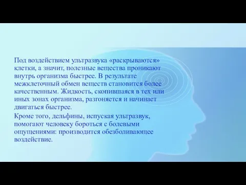 Под воздействием ультразвука «раскрываются» клетки, а значит, полезные вещества проникают внутрь