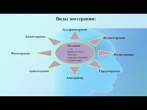 Зоотерапия – это профилактика и лечение с помощью общения с животными.