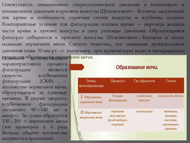 Совокупность повышенного гидростатического давления в капиллярах и пониженного давления в просвете