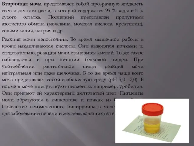 Вторичная моча представляет собой прозрачную жидкость светло-желтого цвета, в которой содержатся