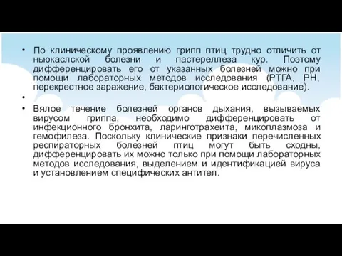 По клиническому проявлению грипп птиц трудно отличить от ньюкаслской болезни и