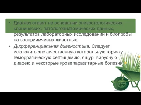 Диагноз ставят на основании эпизоотологических, клинических, патологоанатомических данных, результатов лабораторных исследований