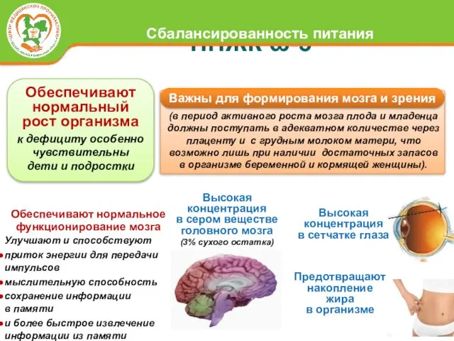 ПНЖК ω-3 Высокая концентрация в сером веществе головного мозга (3% сухого