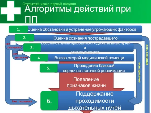 Поддержание проходимости дыхательных путей Алгоритмы действий при ПП Открытый класс первой