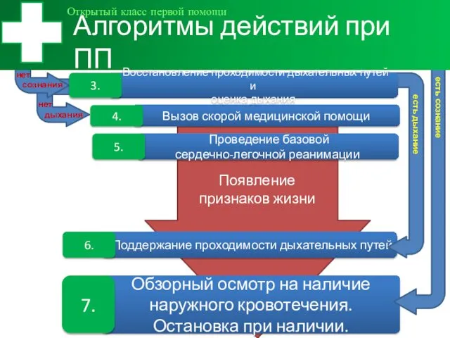 Обзорный осмотр на наличие наружного кровотечения. Остановка при наличии. нет сознания