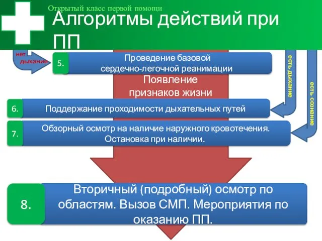 Вторичный (подробный) осмотр по областям. Вызов СМП. Мероприятия по оказанию ПП.