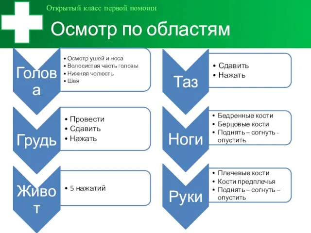 Осмотр по областям Открытый класс первой помощи