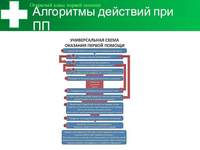 Алгоритмы действий при ПП Открытый класс первой помощи