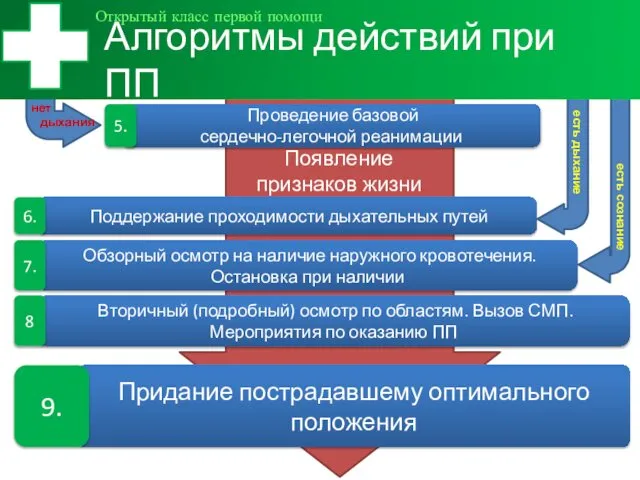 Придание пострадавшему оптимального положения есть сознание Поддержание проходимости дыхательных путей нет