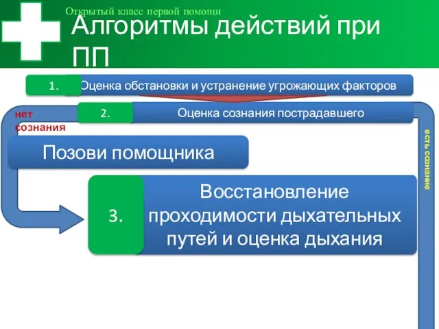 Алгоритмы действий при ПП Открытый класс первой помощи Оценка обстановки и