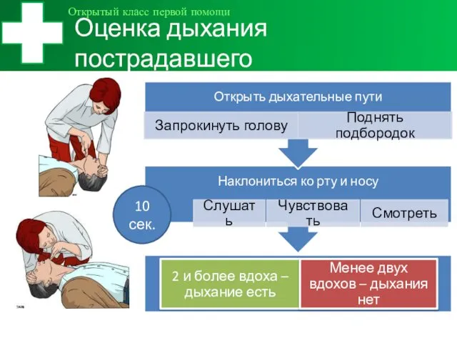 Оценка дыхания пострадавшего Открытый класс первой помощи 10 сек.