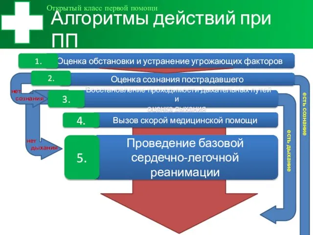 Алгоритмы действий при ПП Открытый класс первой помощи Оценка обстановки и