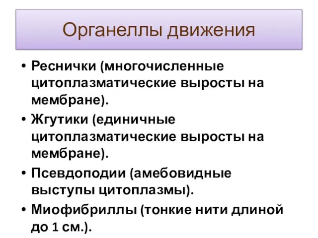 Органеллы движения Реснички (многочисленные цитоплазматические выросты на мембране). Жгутики (единичные цитоплазматические