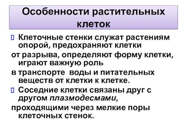 Особенности растительных клеток Клеточные стенки служат растениям опорой, предохраняют клетки от