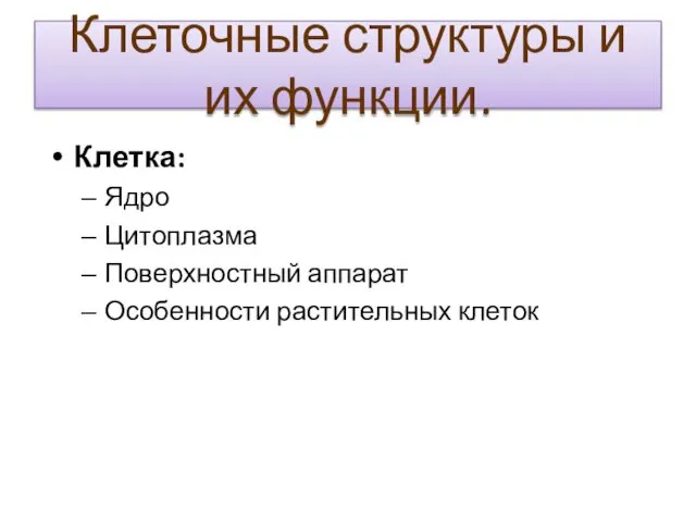 Клеточные структуры и их функции. Клетка: Ядро Цитоплазма Поверхностный аппарат Особенности растительных клеток