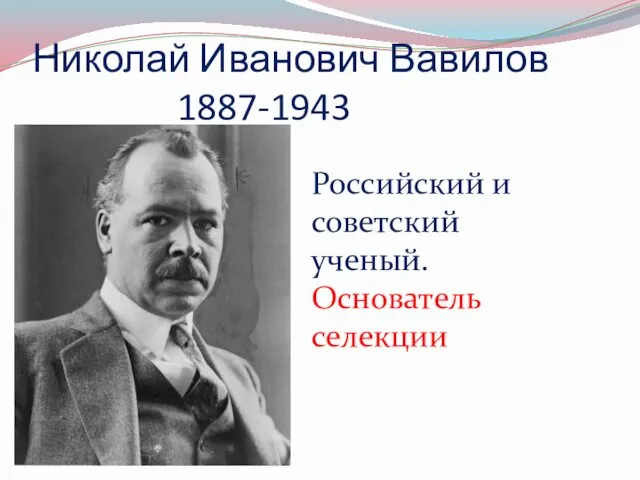 Николай Иванович Вавилов 1887-1943 Российский и советский ученый. Основатель селекции