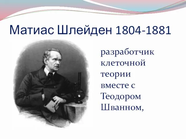 Матиас Шлейден 1804-1881 разработчик клеточной теории вместе с Теодором Шванном,