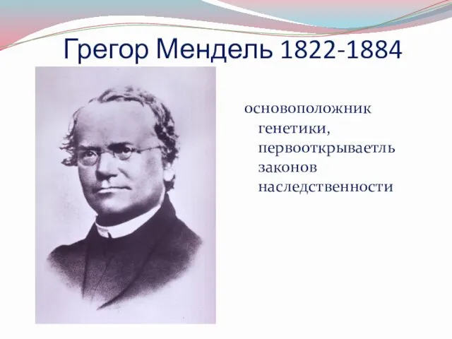 Грегор Мендель 1822-1884 основоположник генетики, первооткрываетль законов наследственности