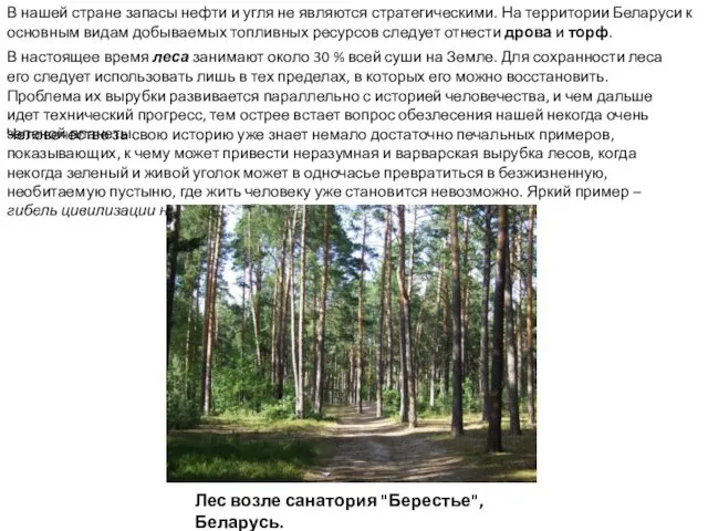 В нашей стране запасы нефти и угля не являются стратегическими. На