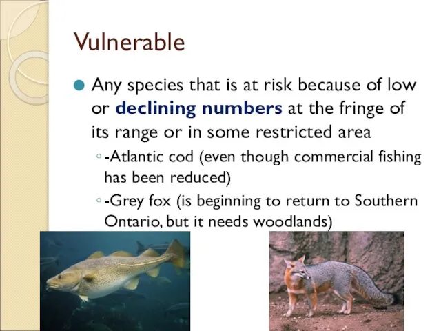 Vulnerable Any species that is at risk because of low or
