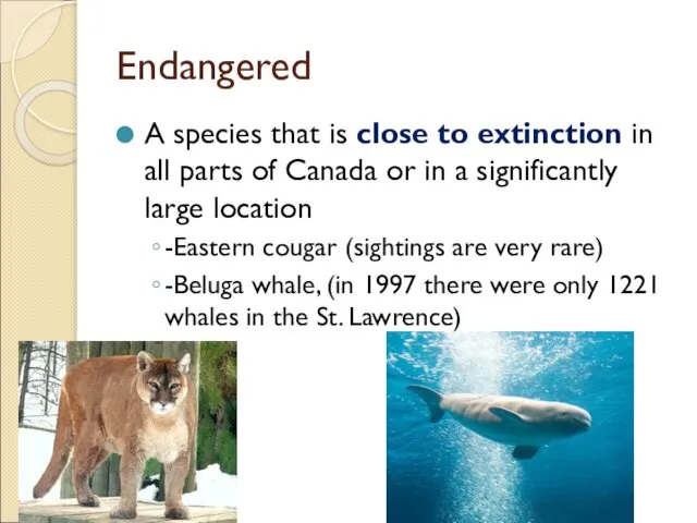 Endangered A species that is close to extinction in all parts