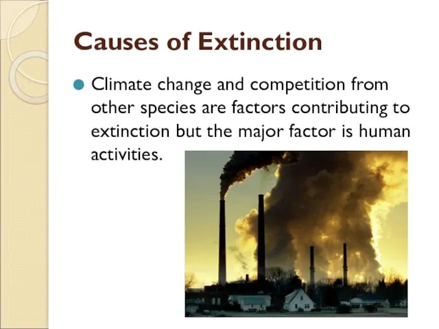 Causes of Extinction Climate change and competition from other species are