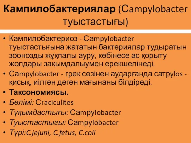 Кампилобактериялар (Сampylobacter туыстастығы) Кампилобактериоз - Саmpylobacter туыстастығына жататын бактериялар тудыратын зоонозды