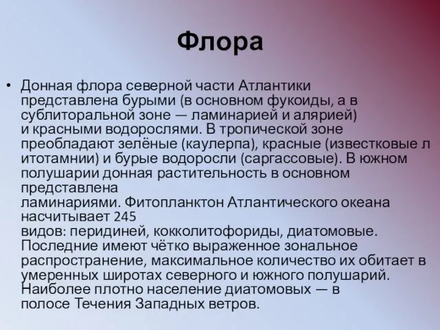 Флора Донная флора северной части Атлантики представлена бурыми (в основном фукоиды,