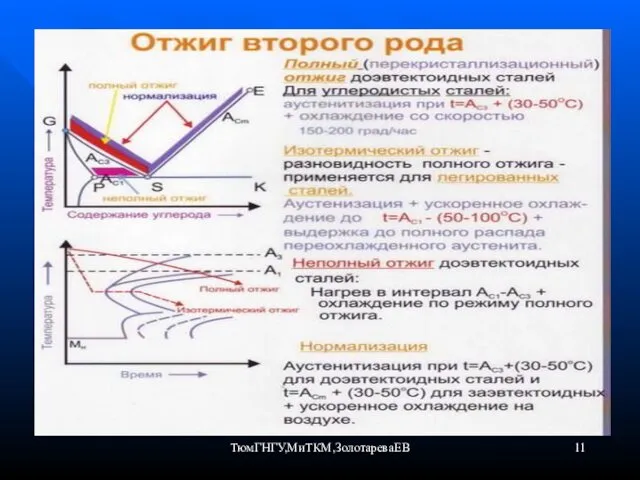 ТюмГНГУ,МиТКМ,ЗолотареваЕВ