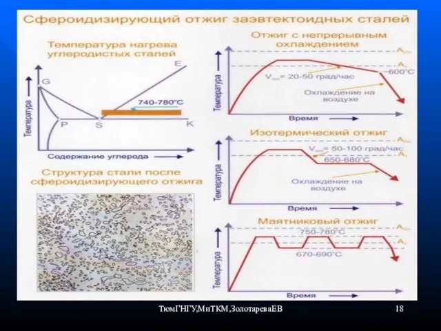 ТюмГНГУ,МиТКМ,ЗолотареваЕВ