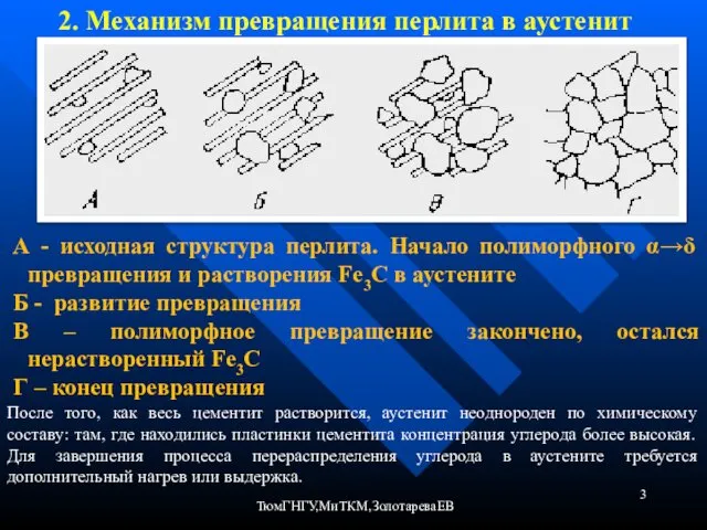 ТюмГНГУ,МиТКМ,ЗолотареваЕВ 2. Механизм превращения перлита в аустенит А - исходная структура